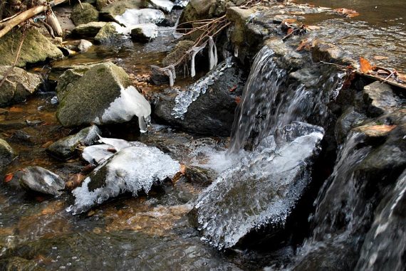 Ice on Reedy Creek at Forest Hill Park